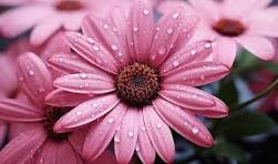 Exploring the World of Full Stack Development